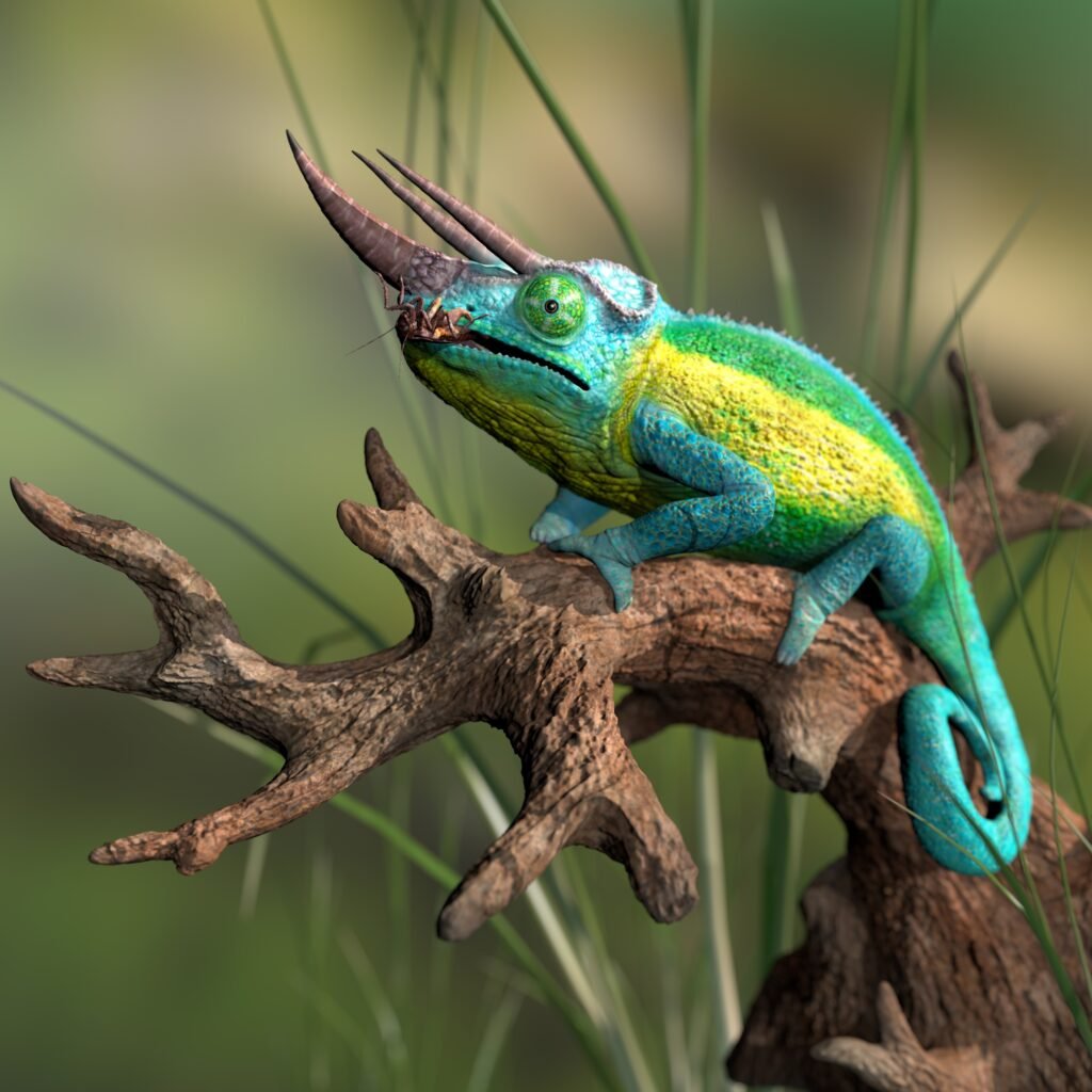 Jackson's Chameleons: The Three-Horned Wonders of East Africa